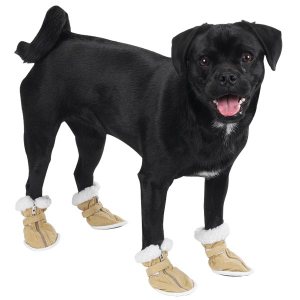 Dog in boots!